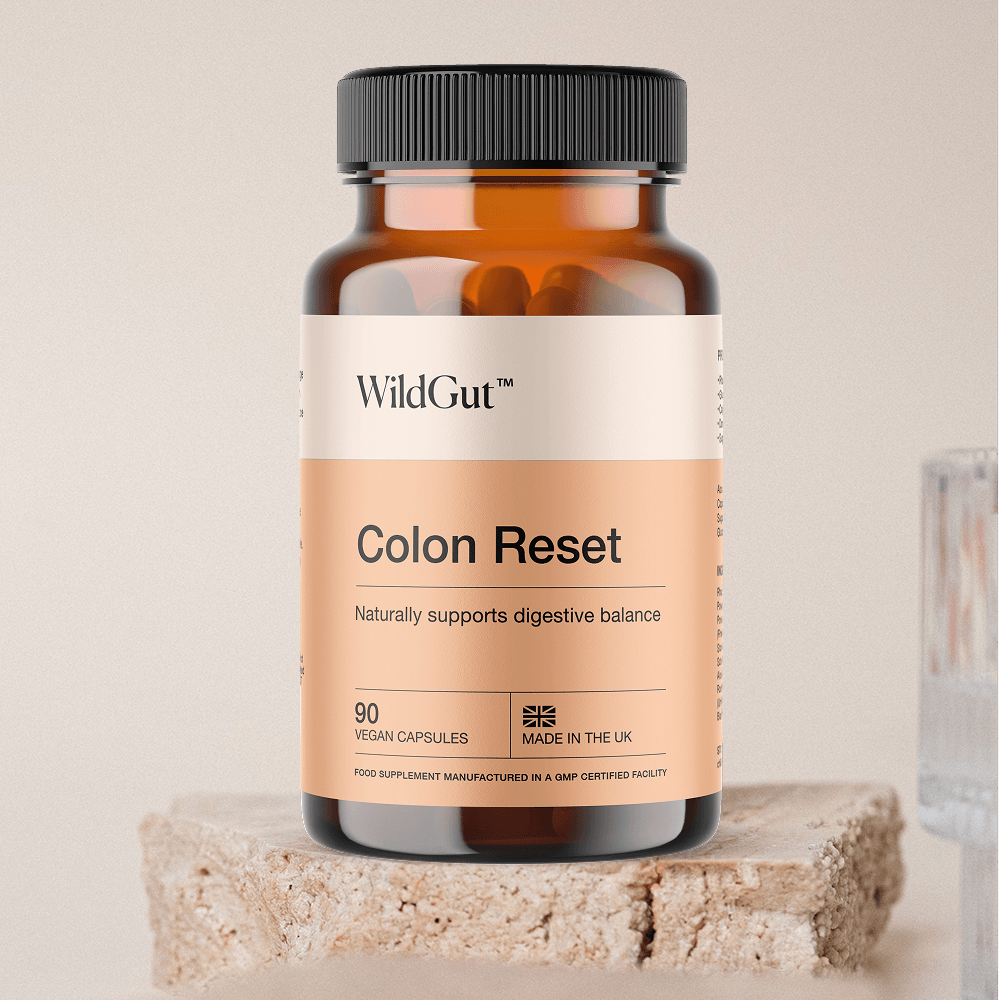 WildGut Colon Reset on stone surface