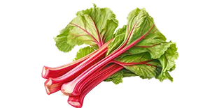 Rhubarb